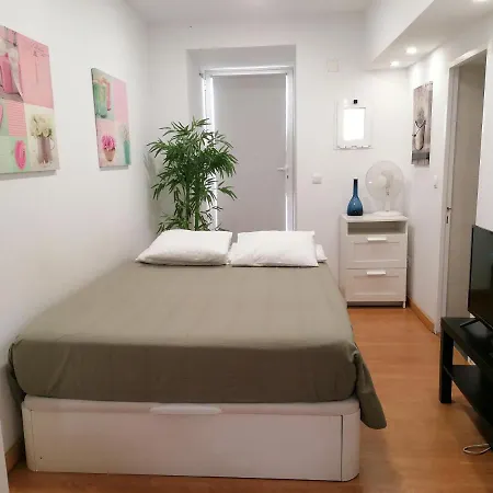 Flowers In Pop House 리스본