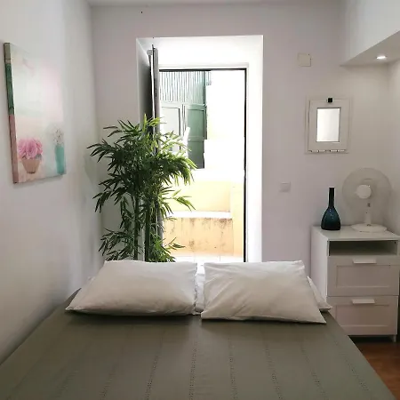 Flowers In Pop House Apartment *