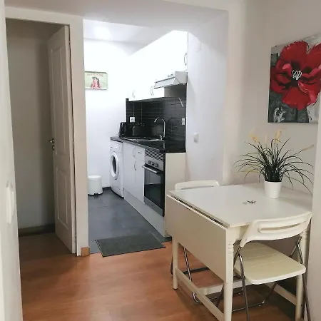 Flowers In Pop House Apartment